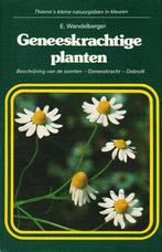 Geneeskrachtige planten 9789003965905 Wendelberger, Boeken, Verzenden, Gelezen, Wendelberger