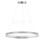 PAUL NEUHAUS Q-Vito Hanglamp LED, zilver - 79,4 cm, Huis en Inrichting, Lampen | Hanglampen, Verzenden, Nieuw