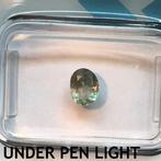 Zonder minimumprijs - 1 pcs Groen, Paars Alexandriet - 0.61, Sieraden, Tassen en Uiterlijk, Edelstenen, Nieuw