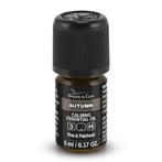 Beauty & Care Herfst mix 20 ml.  new, Ophalen of Verzenden, Nieuw, Aroma