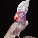 Vogelcollectie: Winged Splendors. Amethist