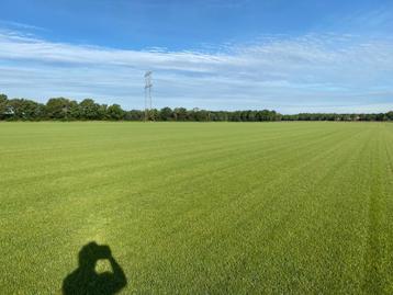 graszoden gras rollen gras gazongras speelgras groengras