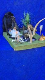 Corbeau freux en anderen Taxidermie wandmontage - Corvus