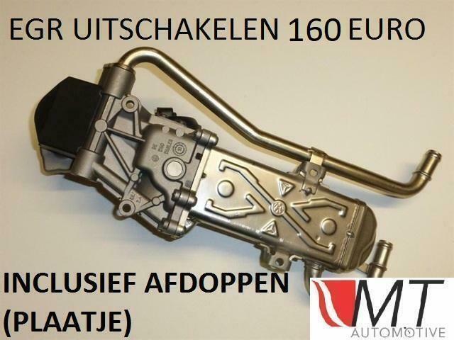 EGR Uitschakelen 1.2 TDI 1.2TDI P0403 P0405 Storing Polo 6R, Auto diversen, Tuning en Styling, Ophalen