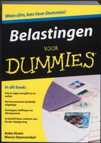 Belastingen voor Dummies / Voor Dummies 9789043015738, Verzenden, Gelezen, Anke Hoets