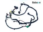 Kabelboom Suzuki VL 800 2001-2004 Intruder Volusia (VL800), Motoren, Onderdelen | Suzuki, Verzenden, Gebruikt