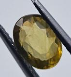 Zonder Minimumprijs Geel Zirkoon  - 1.46 ct - Instituto, Nieuw