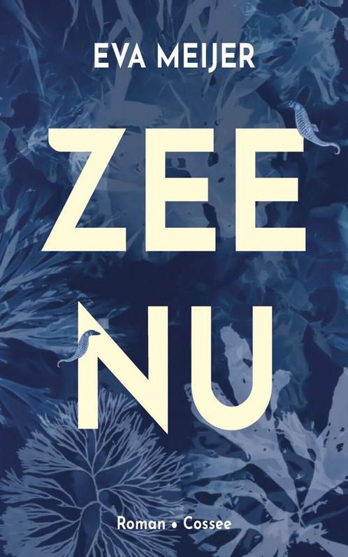 Zee nu (9789464520132, Eva Meijer) (Eva Meijer), Boeken, Romans, Nieuw, Verzenden