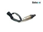 Lambda Sonde Gilera Fuoco 500 2013-2015, Verzenden, Gebruikt