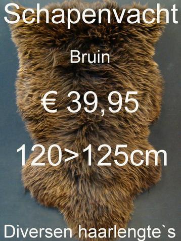 BRUIN Schapenvacht XXL GROOT schapenvel schapenhuid € 39,95 beschikbaar voor biedingen