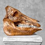 Geen minimale prijs - Prachtige bruine gebeeldhouwde patina