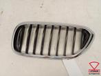 BMW 5 Serie G30 G31 Grille Nieren Links 51137473700, Ophalen, Gebruikt, Links, BMW