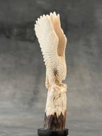 Snijwerk, NO RESERVE PRICE - An Eagle carving from a deer