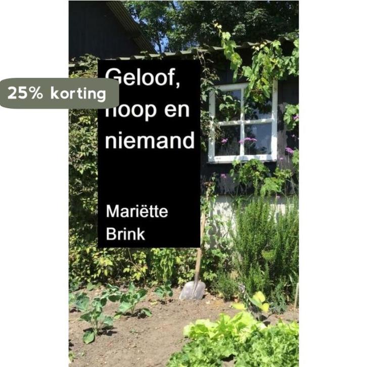 Geloof, hoop en niemand 9789403670881 Mariëtte Brink, Boeken, Kookboeken, Zo goed als nieuw, Verzenden