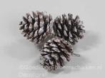 Denneappels pinecone op draad +/-4, 5cm. bundel3 snow super, Hobby en Vrije tijd, Knutselen, Ophalen of Verzenden, Nieuw