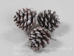 Denneappels Pinecone op draad +/-4, 5cm. bundel3 Snow Super, Hobby en Vrije tijd, Knutselen, Nieuw, Ophalen of Verzenden