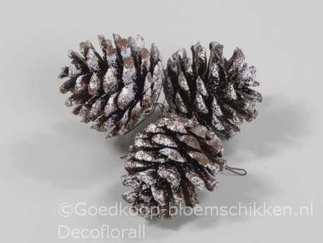 Denneappels pinecone op draad +/-4, 5cm. bundel3 snow super, Hobby en Vrije tijd, Knutselen, Nieuw, Ophalen of Verzenden