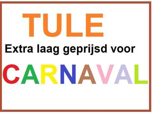 Tule carnaval | Laagste prijs, Kinderen en Baby's, Carnavalskleding en Verkleedspullen, Jongen of Meisje, Nieuw, Ophalen of Verzenden
