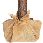 Kunstkerstboom 220 cm - spar met houten stam, Diversen, Kerst, Nieuw, Ophalen of Verzenden