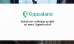 Lilian zoekt een oppas in Siddeburen voor 3 kinderen.