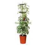 GARLAND ZELF BEWATERENDE POT 11 LITER ROOD (PLANTEN BAKKEN), Ophalen of Verzenden, Nieuw