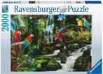 Bonte Papegaaien In De Jungle Puzzel (2000 stukjes) |, Verzenden, Nieuw