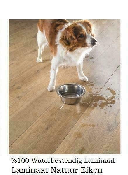 Waterbestendige Laminaat Vloeren 18 X Kleur €14,95m2 inc.btw, Huis en Inrichting, Stoffering | Vloerbedekking, Crème, Beige, Bruin