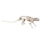 Halloween Skelet Rat 35cm, Verzenden, Nieuw