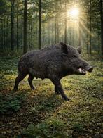 Beeld, XL Wild Boar 150cm - 92 cm - Hars