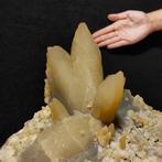 NATURALE, CALCITE BLOEM, 100+ ENORME CRYSTALLEN, GROENE, Verzamelen, Mineralen en Fossielen