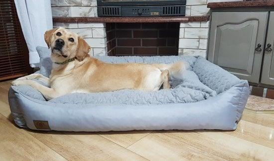 Huisdier Mand Comfort | Polyurethaan | Laatste Stuks!, Dieren en Toebehoren, Hondenmanden, Nieuw, Stof, Ophalen of Verzenden