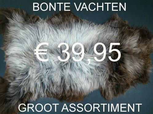 Schapenvacht BONTE Natuurlijke schapenhuid schapenvel €39,95, Huis en Inrichting, Woonaccessoires | Overige, Nieuw, Ophalen of Verzenden