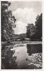 PARK HOGE VELUWE - Vijver bij Stenen Brug, Verzenden, Gelopen