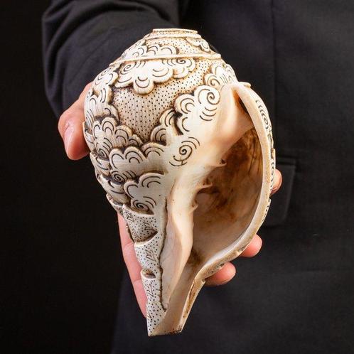 Heilige Tibetaanse conches: Shankha. Zeeschelp - Hand-Carved, Verzamelen, Dierenverzamelingen