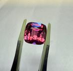 1 pcs Rood, Paars Spinel - 8.26 ct - nternational Colored, Nieuw