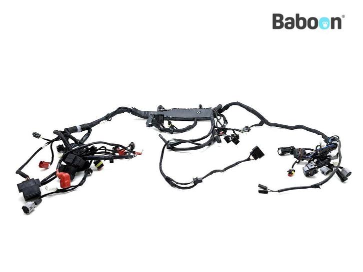 Kabelboom Aprilia Tuono V4 Factory 2019- (KGB00), Motoren, Onderdelen | Overige, Gebruikt, Verzenden