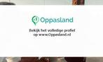 Milena zoekt een oppas in Hoofddorp voor 2 kinderen op di..., Vacatures, Goede doelen en Vrijwilligerswerk