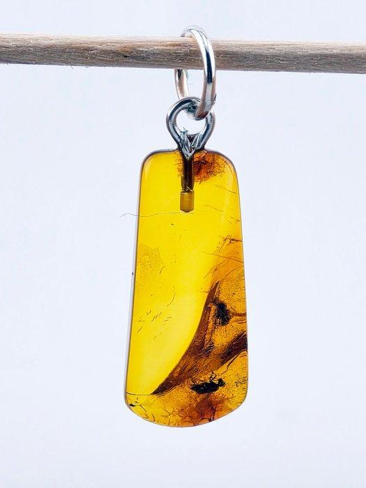 Twee vliegen in gouden Baltisch amber – Zeldzame dubbele, Antiek en Kunst, Curiosa en Brocante