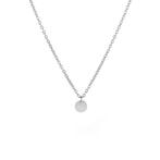 Roestvrij stalen ketting zilver kleurig met ronde hanger, Verzenden, Nieuw, Zilver