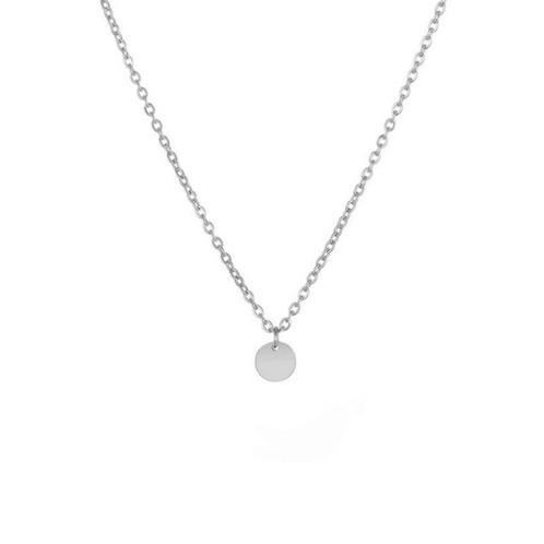 Roestvrij stalen ketting zilver kleurig met ronde hanger, Sieraden, Tassen en Uiterlijk, Kettingen, Nieuw, Verzenden