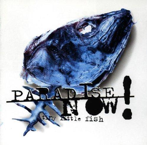 cd - Paradise Now - Tiny Little Fish, Cd's en Dvd's, Cd's | Overige Cd's, Zo goed als nieuw, Verzenden