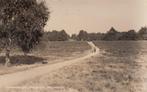 SCHAARSBERGEN - Bosgezicht Warnsborn, Verzenden, Gelopen