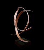 Cesare De Toni (2020-2025) - Curvismo dello spazio Sequenza