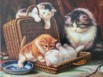 N. Winston (XX) - Mother cat and Kittens