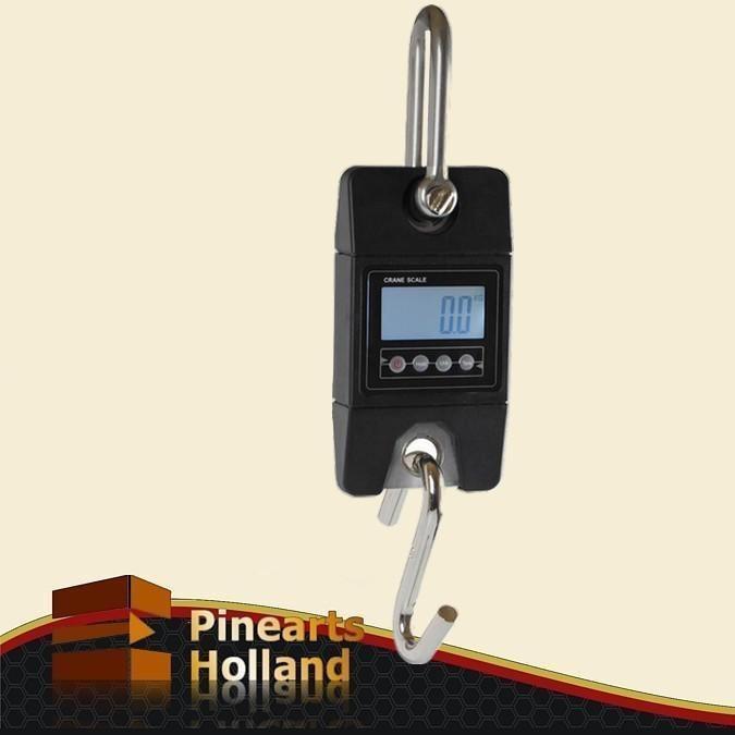 Weeghaak hangweegschaal 200kg x 100g, Witgoed en Apparatuur, Weegschalen, 1 tot 500 gram, 100 kg of meer, Hangweegschaal, Nieuw