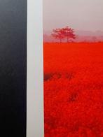 Viet Ha Tran - Red flower field in Nepal, Antiek en Kunst