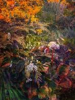 Viet Ha Tran - The painted garden II