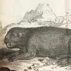 Jean Marius - Traité du Castor - 1746