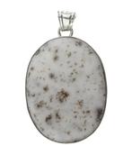 Zilveren Dendriet Opaal edelsteen ovaal XL hanger, Sieraden, Tassen en Uiterlijk, Kettinghangers, Verzenden, Nieuw