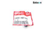 Chokekabel Honda GL 1200 Goldwing (GL1200) Valve set starter